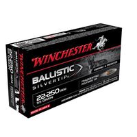 Winchester Ballistic ST 22-250 Rem 55gr PT