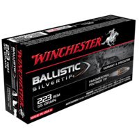 Winchester Ballistic Silvertip 223REM 55gr PT (20PK)