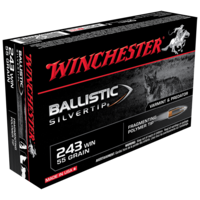 Winchester Ballistic Silvertip 243WIN 55gr PT (20PK)