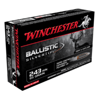 Winchester Ballistic Silvertip 243WIN 95gr (20PK)