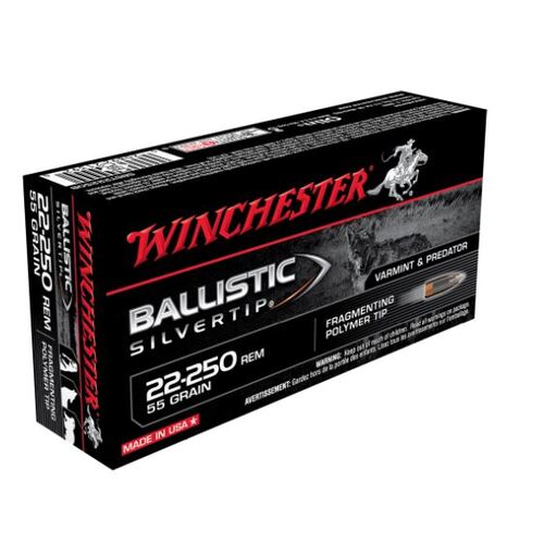 Winchester Ballistic ST 22-250 Rem 55gr PT